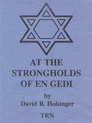cover At the Strongholds of en Gedi Concert Band sheet music cover